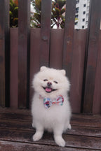 Noel's Tradition Bow Tie – decorative pet bow in a festive print