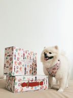 Noel's Tradition matching dog and cat harness, leash and poop bag holder gift set by Pawrawrdise