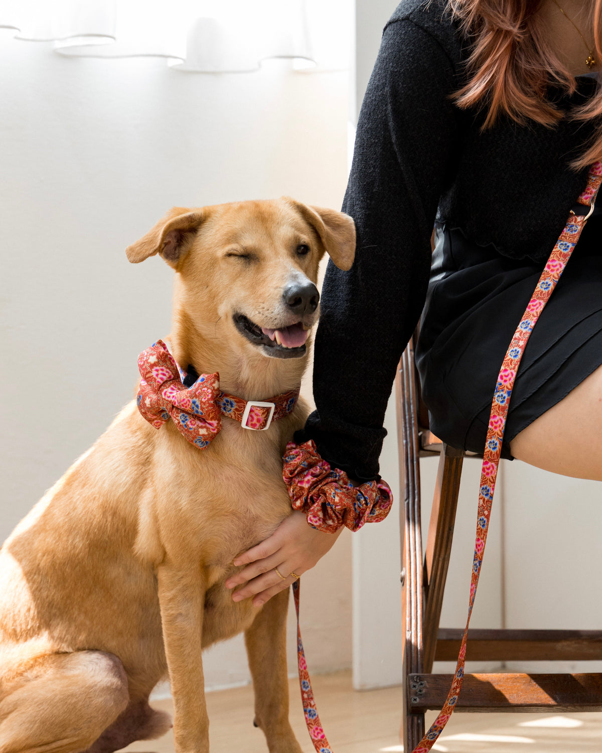 Scarlet Batik coordinated pet accessories with a red batik-inspired design