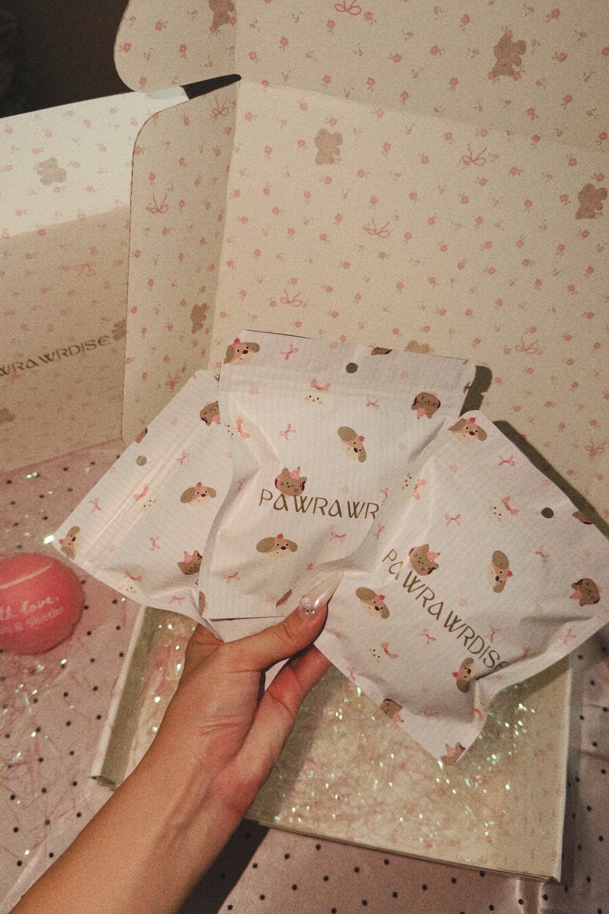 Pawrawrdise Secret Bow Club box of three mystery pet pillow bows