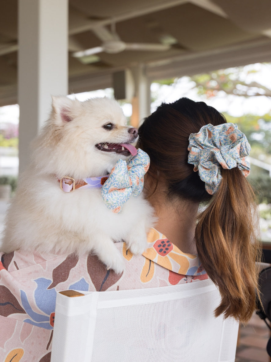 Solana floral coordinating pet bows and scrunchies