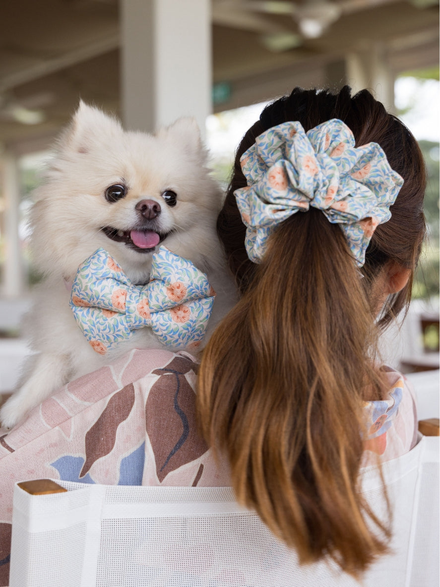 Solana floral coordinating pet bows and scrunchies