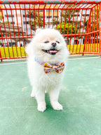 Summer Lurving Bow Tie – decorative pet bow in a tropical-inspired print