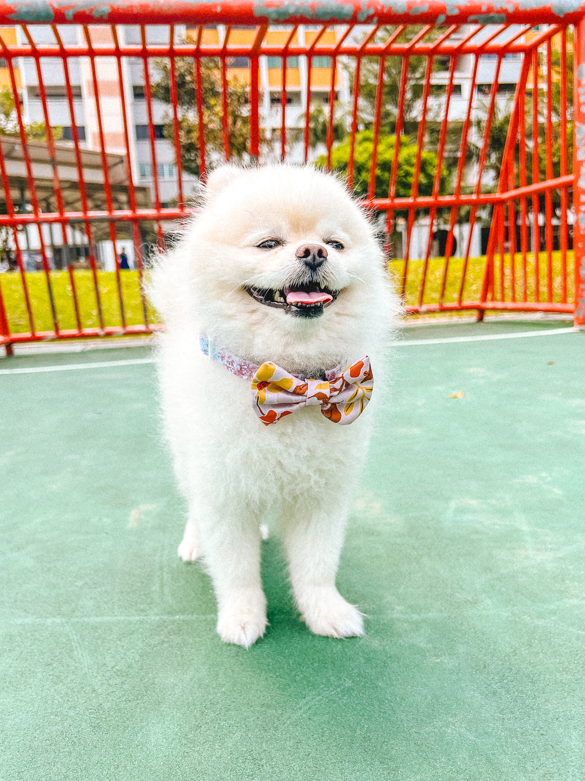 Summer Lurving Bow Tie – decorative pet bow in a tropical-inspired print