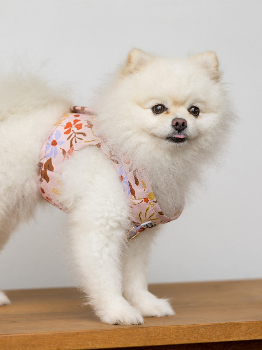 Summer Lurving matching harness and walking accessories for dogs and cats in a tropical-inspired print