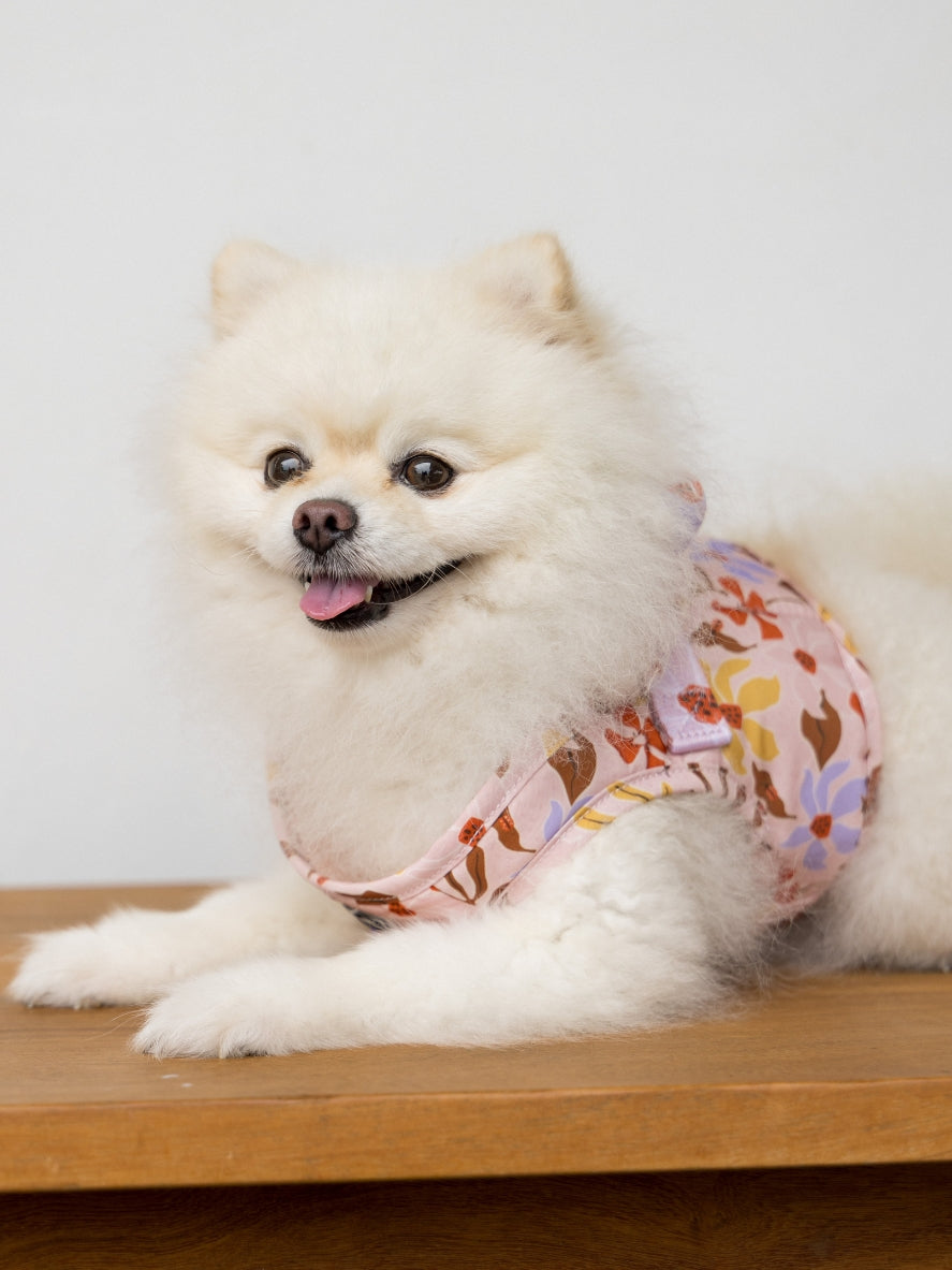 Summer Lurving matching harness and walking accessories for dogs and cats in a tropical-inspired print