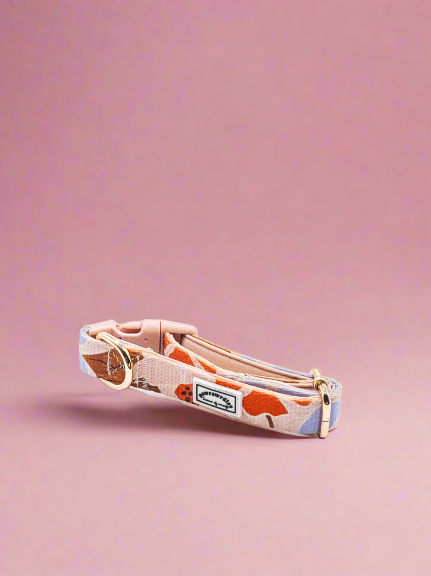 Summer Lurving Dog Collar – adjustable dog collar with D-ring and tropical-inspired print
