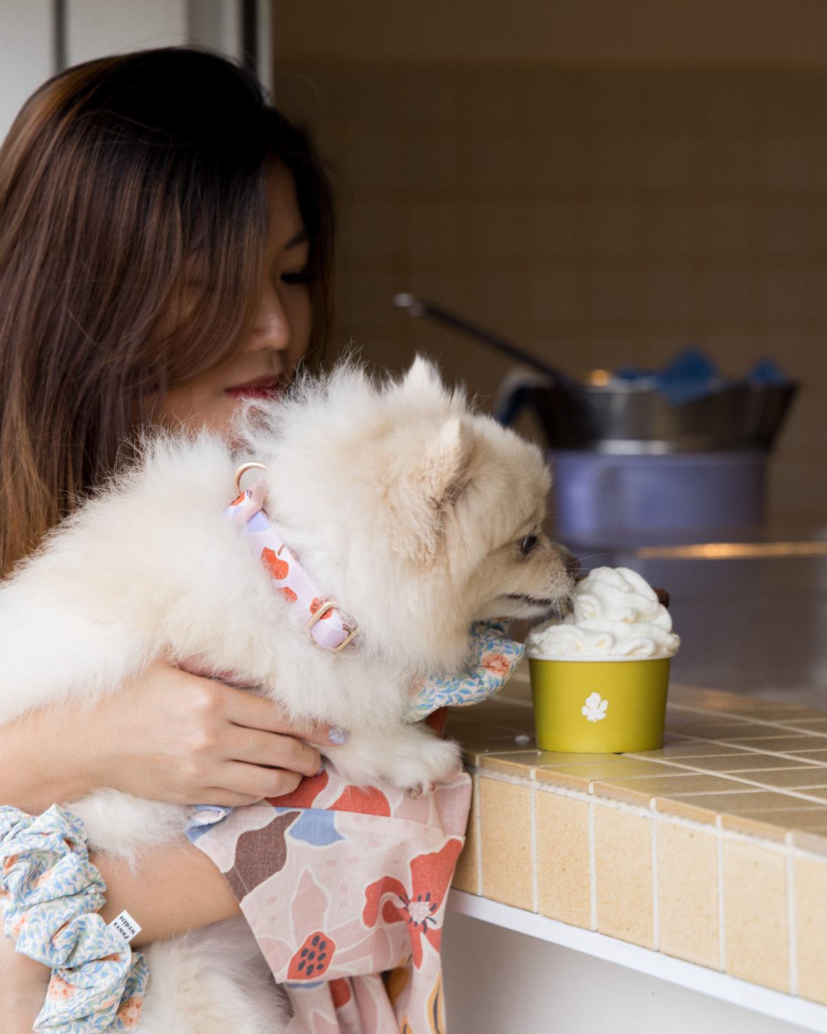 Summer Lurving Dog Collar – adjustable dog collar with D-ring and tropical-inspired print