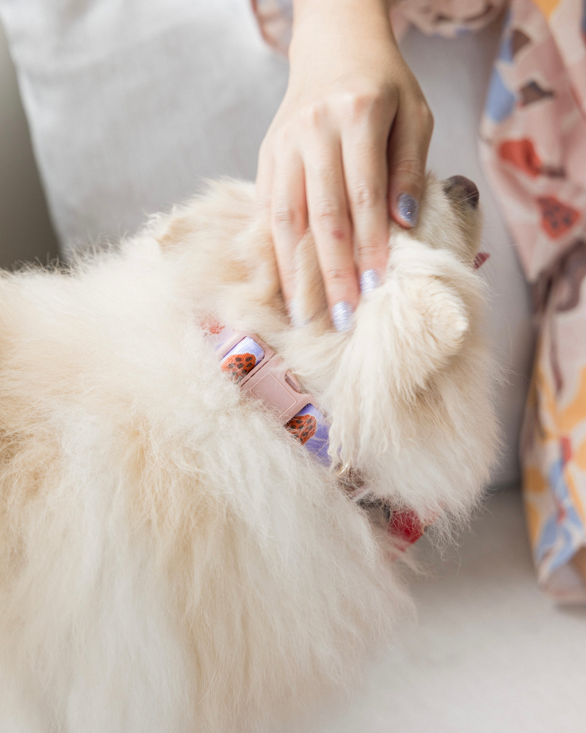 Summer Lurving Dog Collar – adjustable dog collar with D-ring and tropical-inspired print