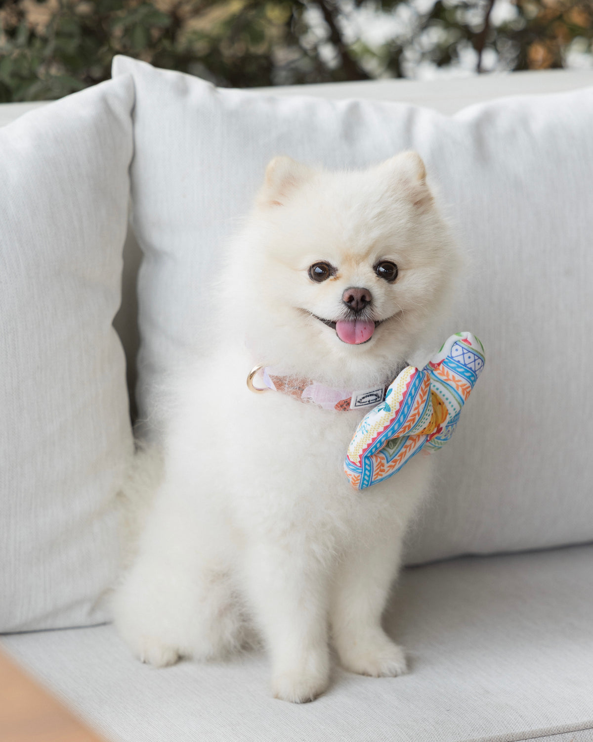 Summer Lurving Dog Collar – adjustable dog collar with D-ring and tropical-inspired print