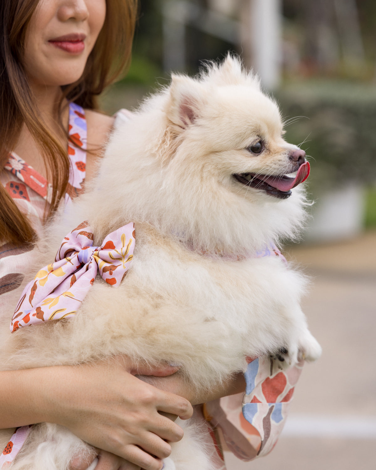Summer Lurving Sailor Bow – decorative pet bow in a tropical-inspired print